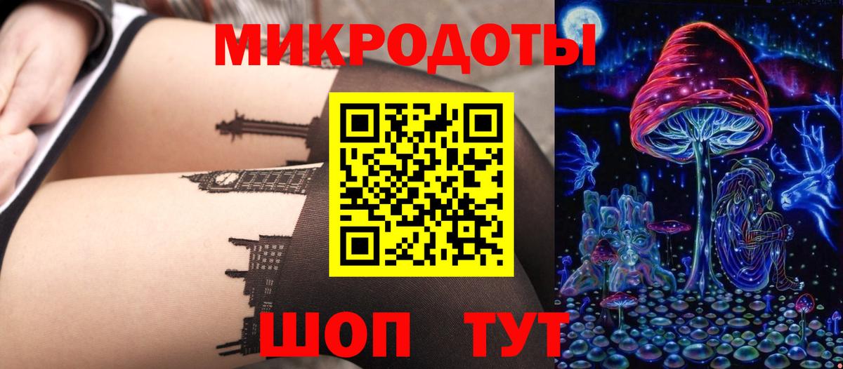 Псилоцибиновые грибы Cubensis Кизилюрт