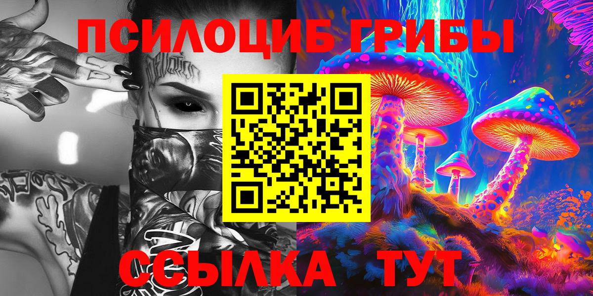 Кизилюрт  Псилоцибиновые грибы MAGIC MUSHROOMS  Вход с VPN 